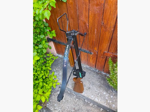 MEGALINE THUNDER 150 lbs Arco – Made in Italy – funzionante