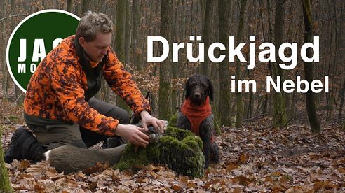 JagdMomente | Folge 10 | Drückjagd im Nebel