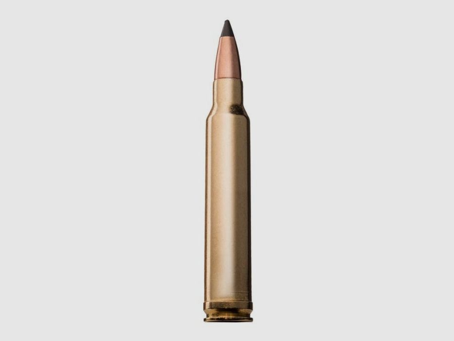 Balles Winchester Varmint X - Cal. 243 Win, image 4 sur 6