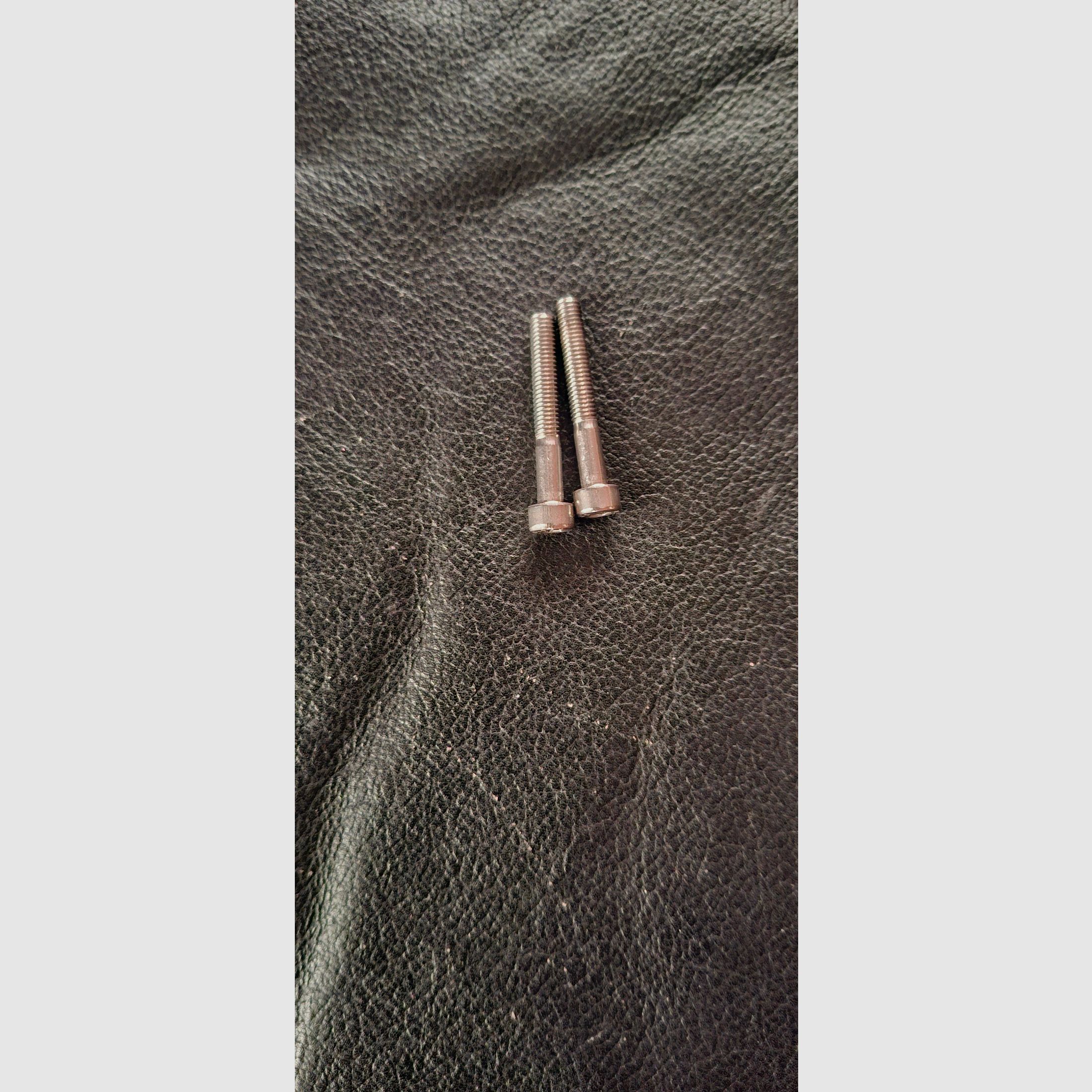 Stock for the Diana Stormrider or Trailscout