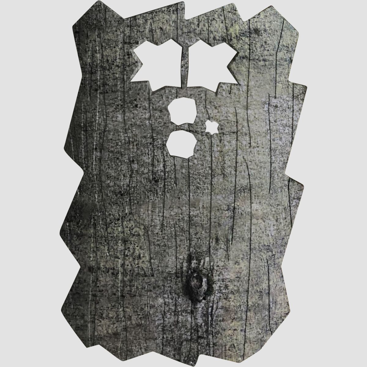 Minox DTC 460 Front cover