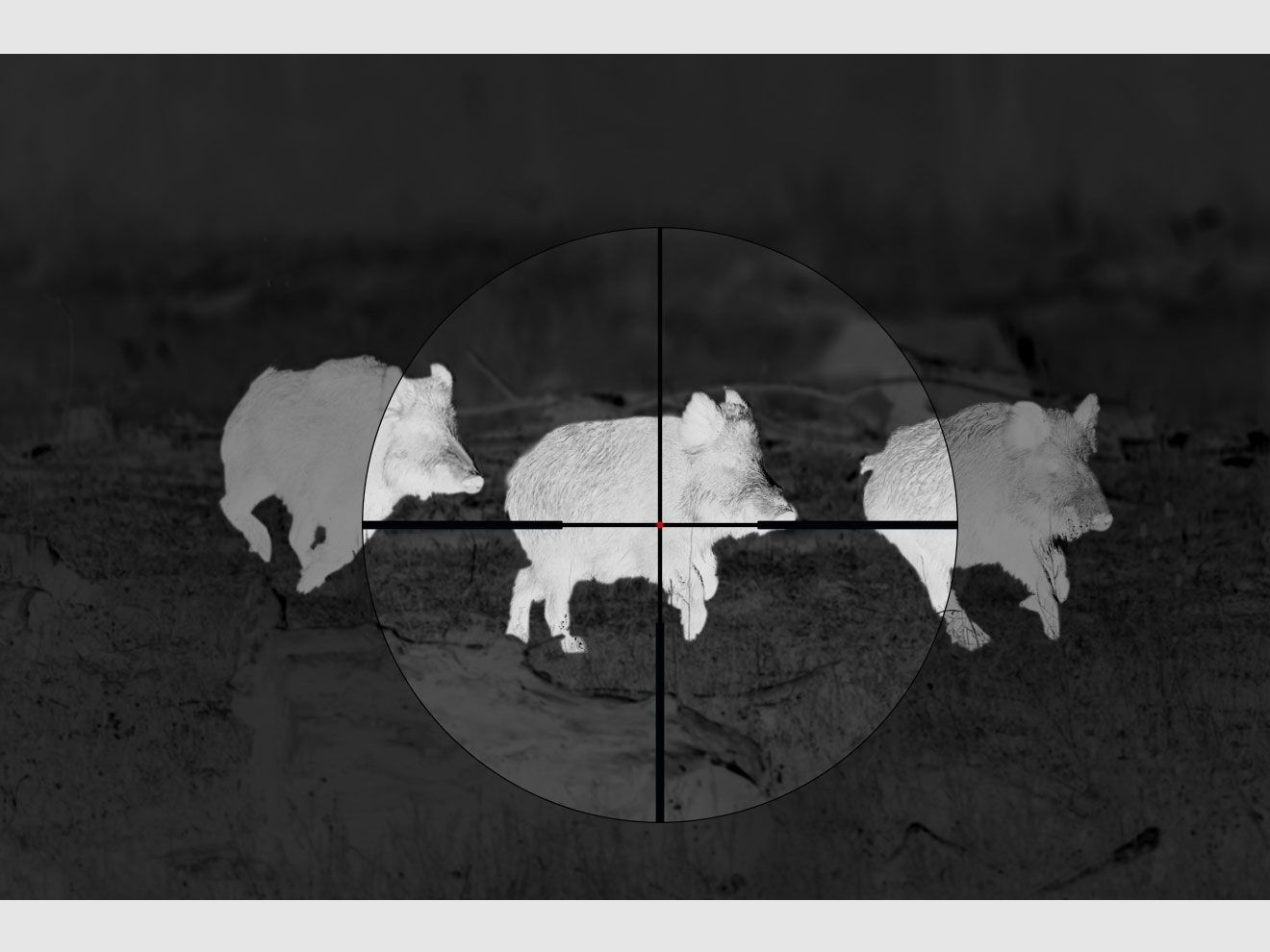 ALPEN OPTICS Apex XP Zieloptik 2.5–16x42 A4 mit SmartDot Technology