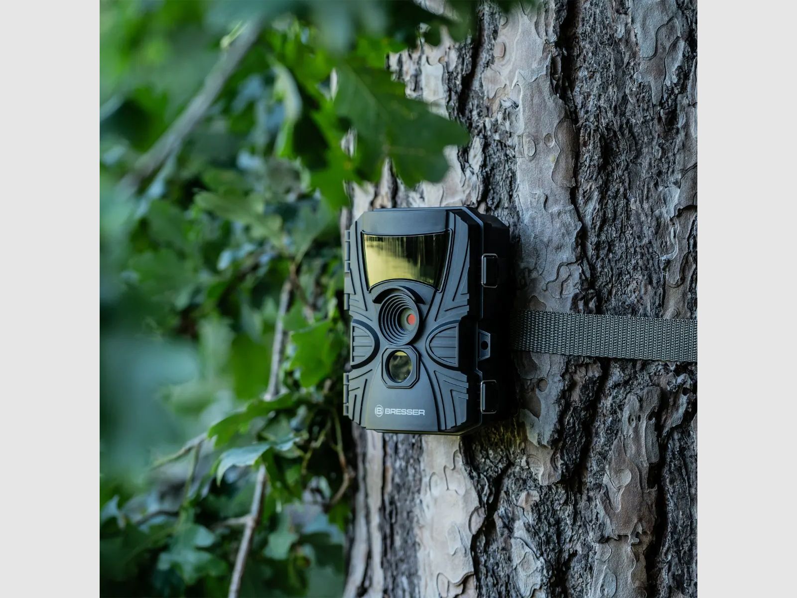 Bresser 60°-Wild-Beobachtungskamera