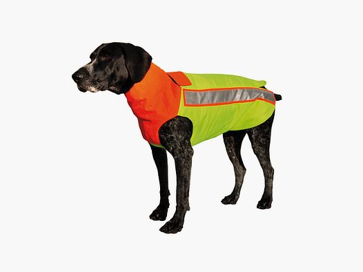 HUBERTUS gilet de protection pour chien Jaune/ Orange
