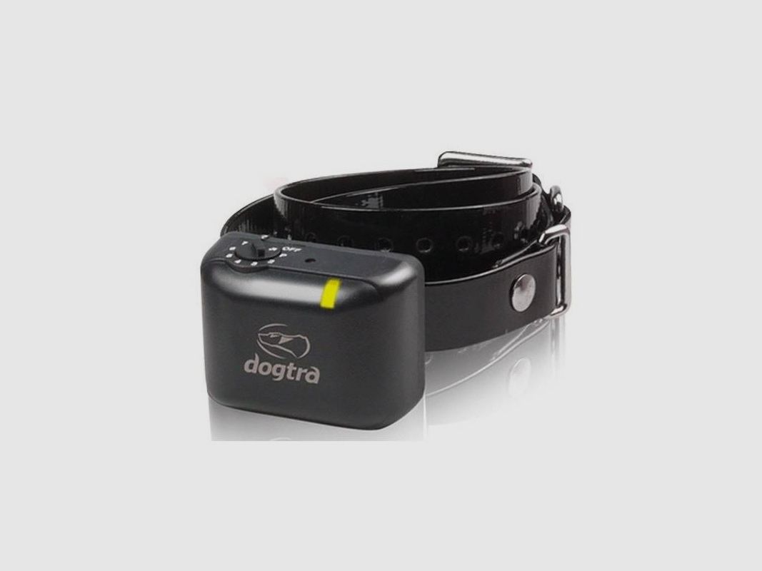 Collier anti-aboiement professionnel Dogtra YS 300, image 1 sur 2