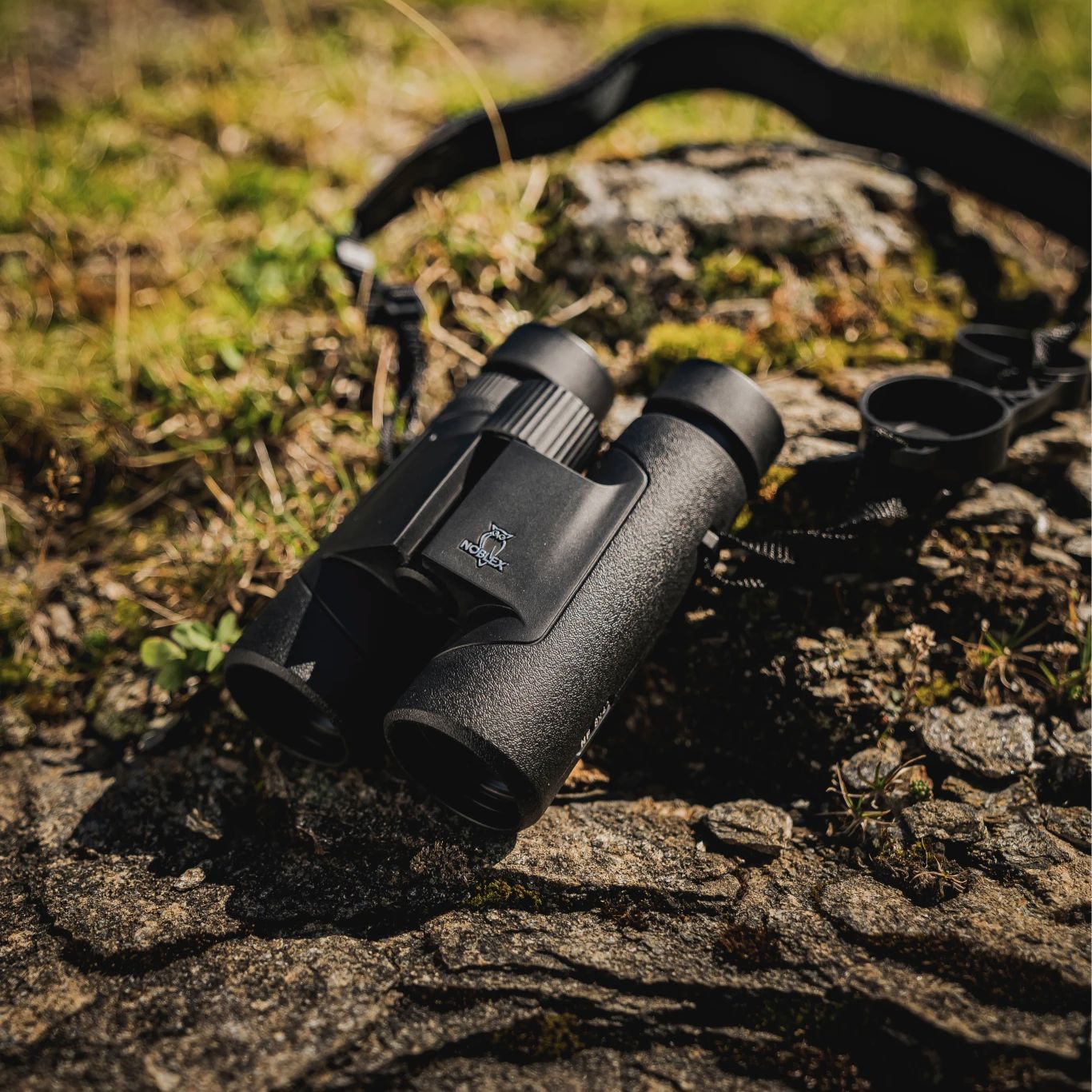 NOBLEX NF 8x42 inception | generalüberholt