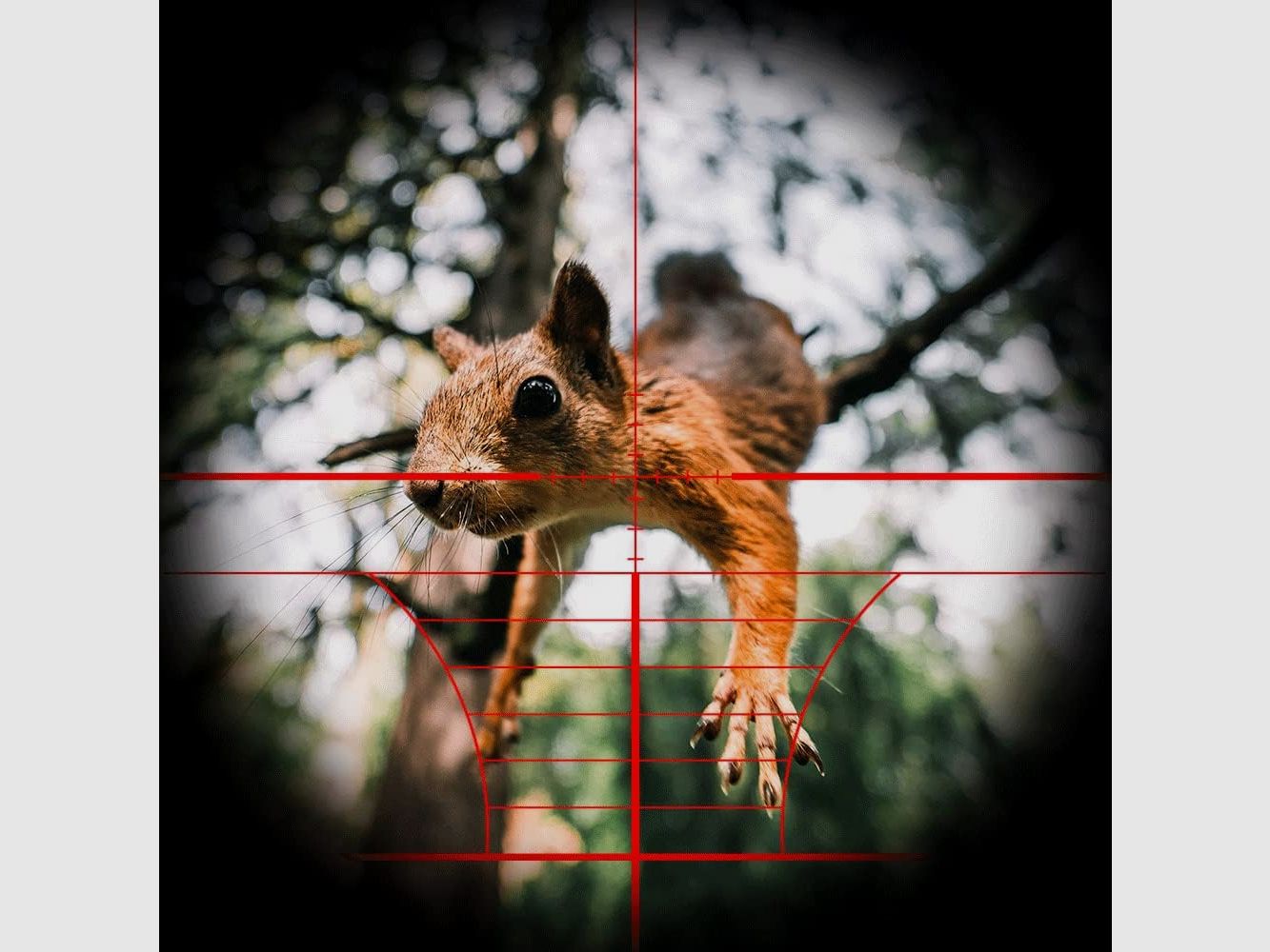 3-9x32 Scope, Jagdzielfernrohr, für Jagd, Ziel, eingebaute 11 / 22 mm Schiene