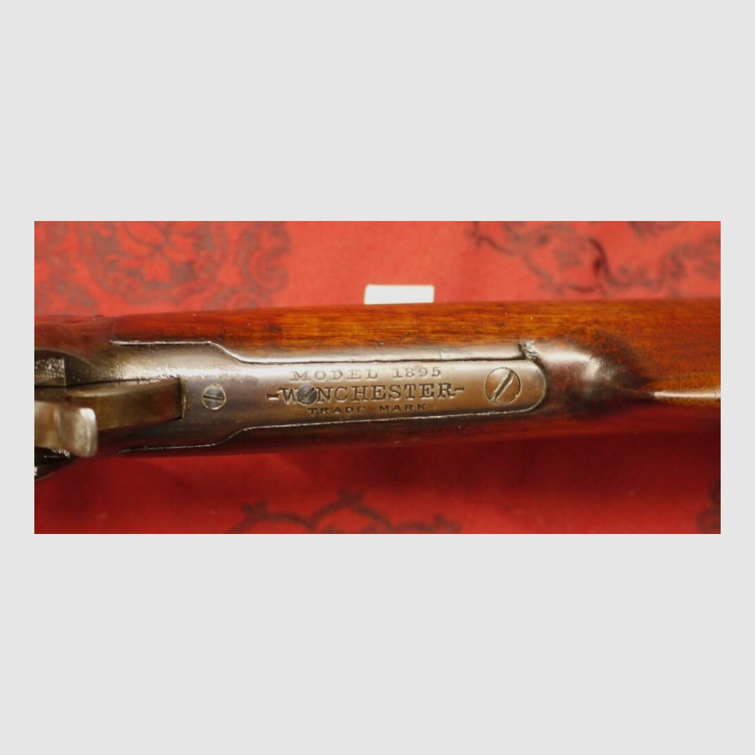 Winchester 1895