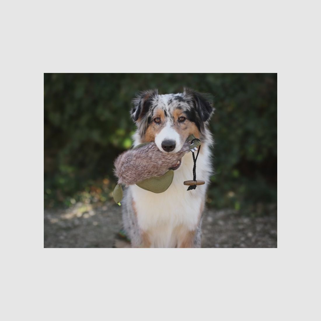 Farm-Land Dummy pour Chiens Canard avec Fourrure 300g, image 4 sur 4