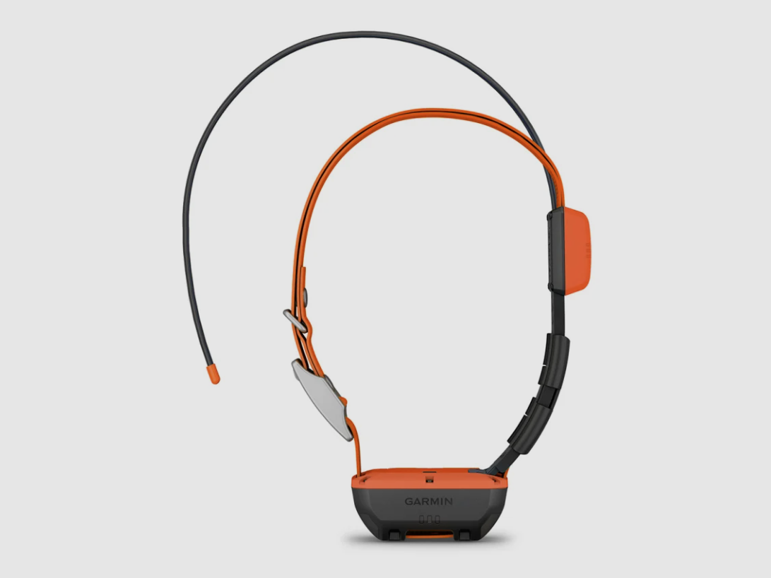 Garmin Alpha T20K GPS-Halsband, Bild 1 von 3