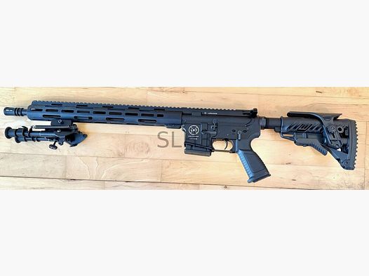 LDT (Schmeisser) AR15 special model SLHB