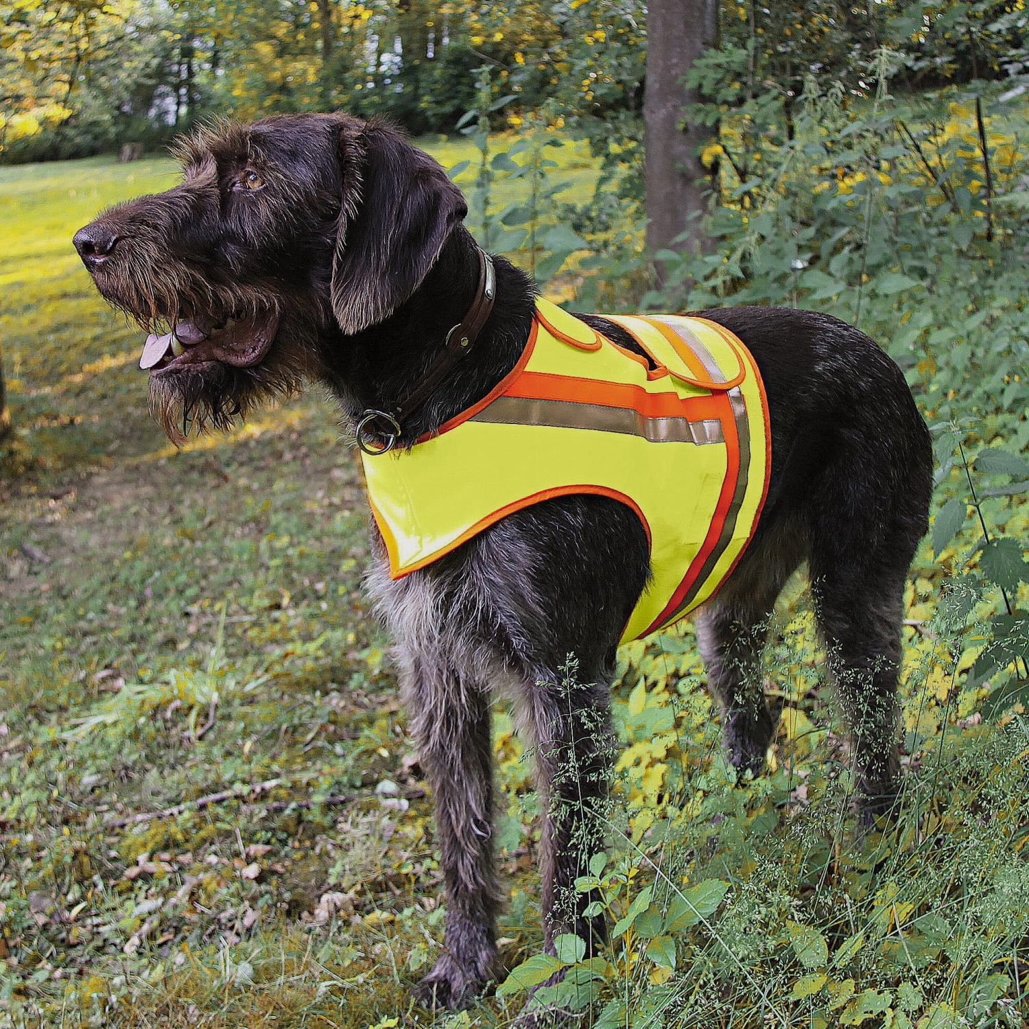 Reflektorweste für Hunde