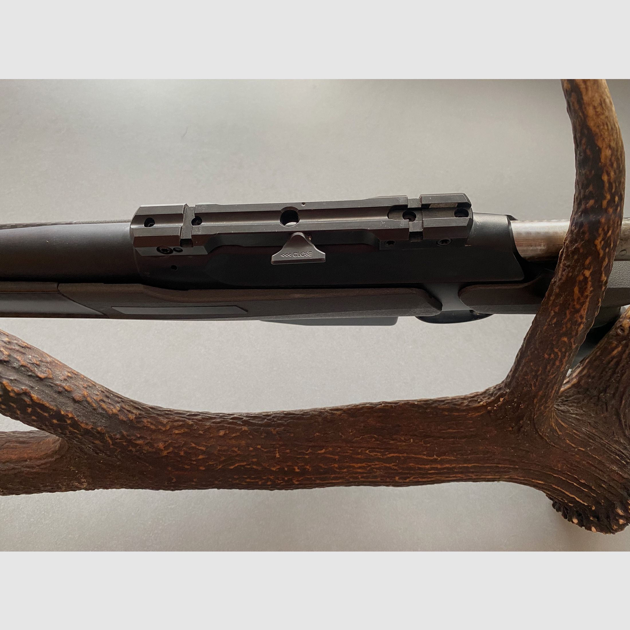 Sauer 202 carbon stock caliber 308
