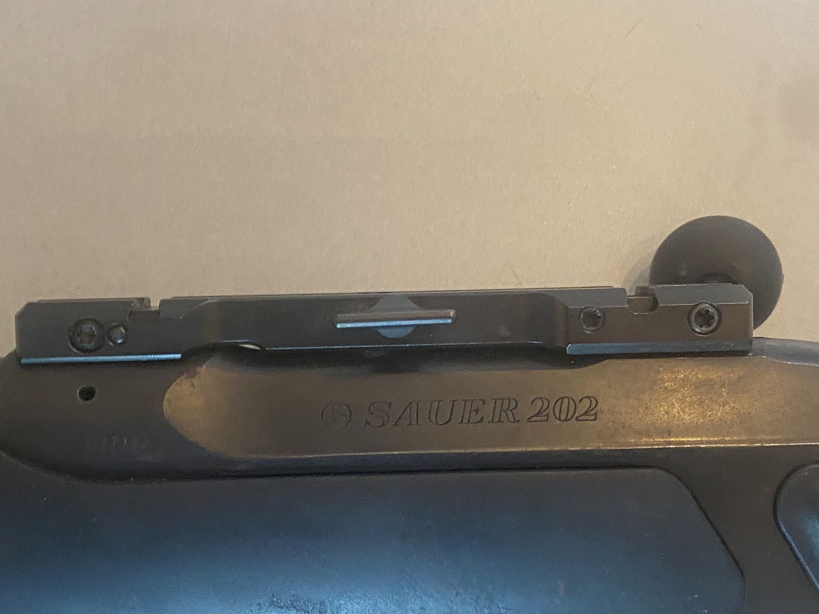 Sauer 202 Syncro Lochschaft XT Softgripp Calibre 30-06
