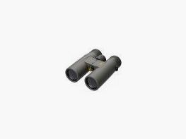 Leupold BX-1 Mckenzie HD – 10×50 Fernglas