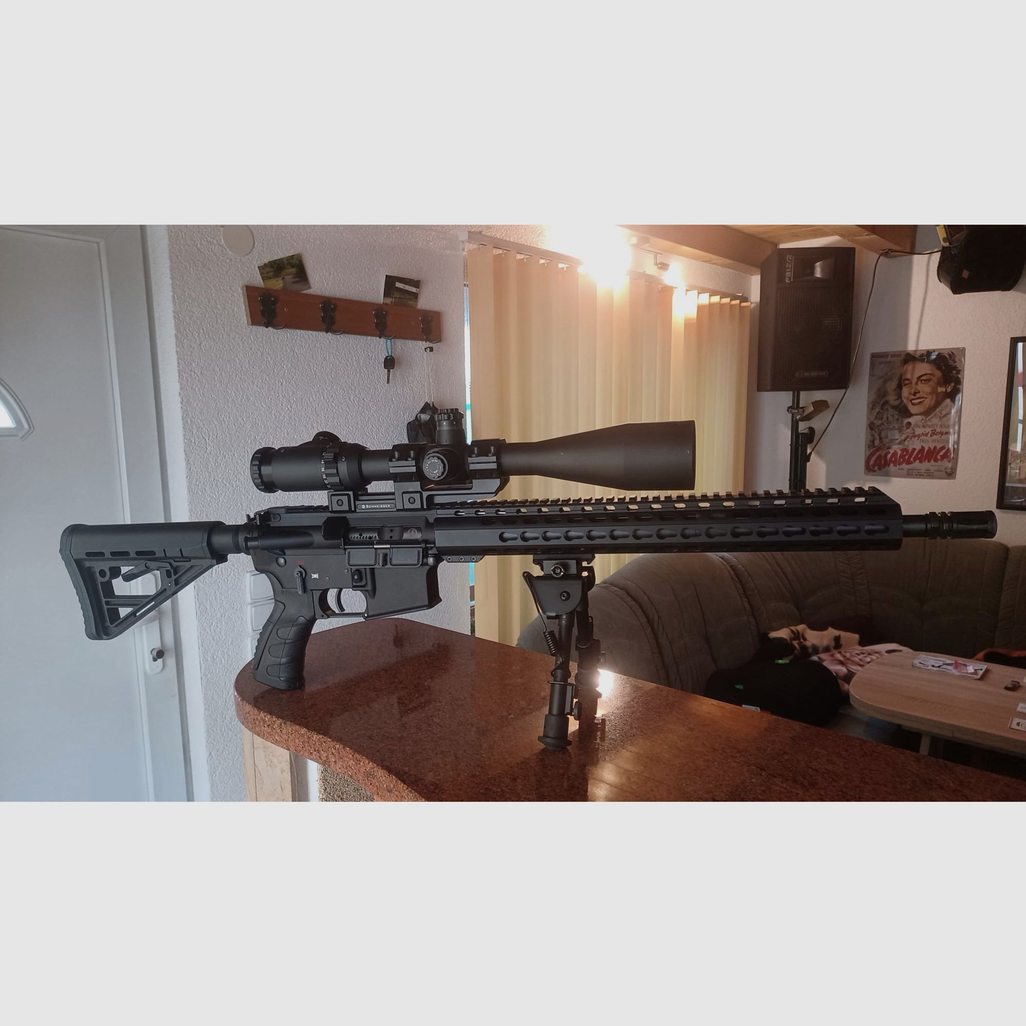 AR15 M5FL Schmeiser Selbstlade-Präzisionsbüchse .223rem.