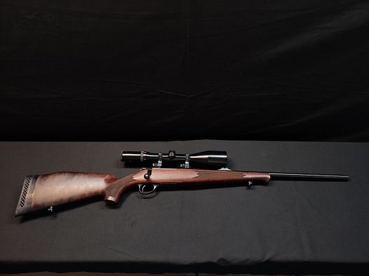 Sako bolt-action rifle cal. .222 Rem - Schmidt & Bender 2.5–10x56 – Very good condition