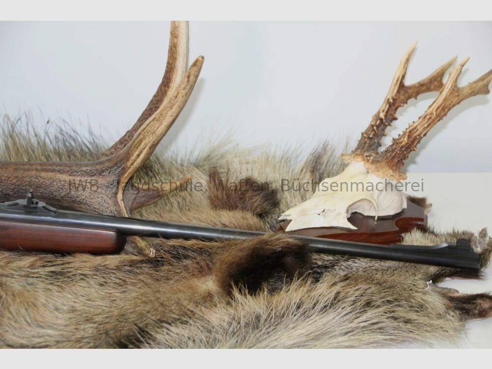 Santa Barbara in sehr gutem Zustand -Frauenwaffe- 7x57