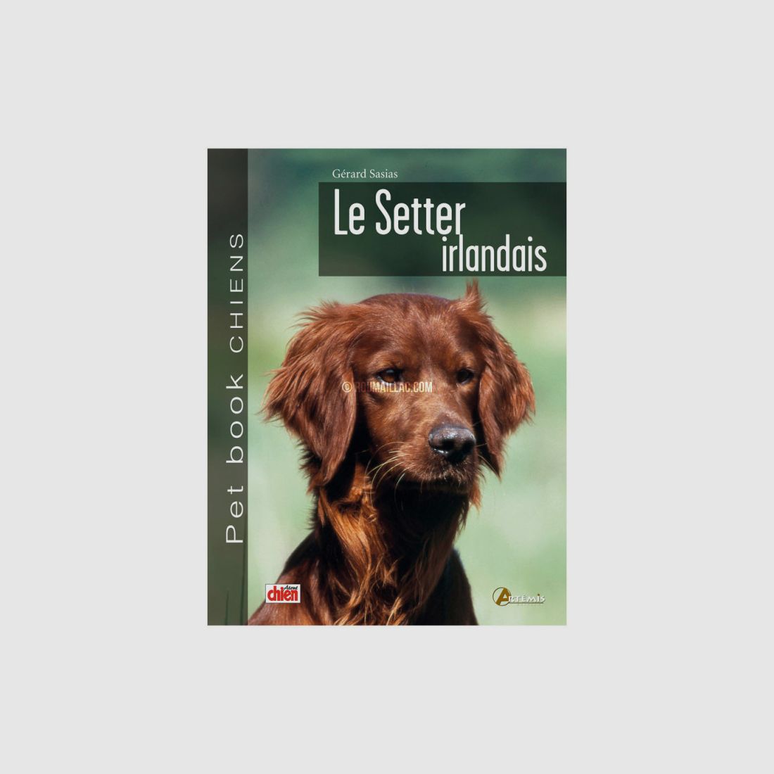 PET BOOK LE SETTER IRLANDAIS