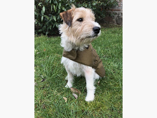 Barbour Hundemantel Lightweight Wax