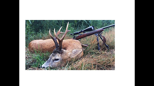 Rehbockjagd in Blattzeit in Rumänien 2016 - Bukkejagt i Rumænien i 2016 - Roebuck hunting in Romania