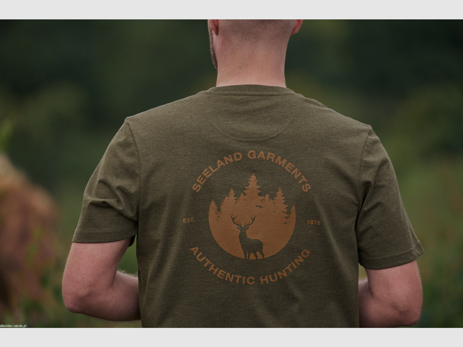 SEELAND Saker T-Shirt Pine Green Melange, Bild 2 von 4