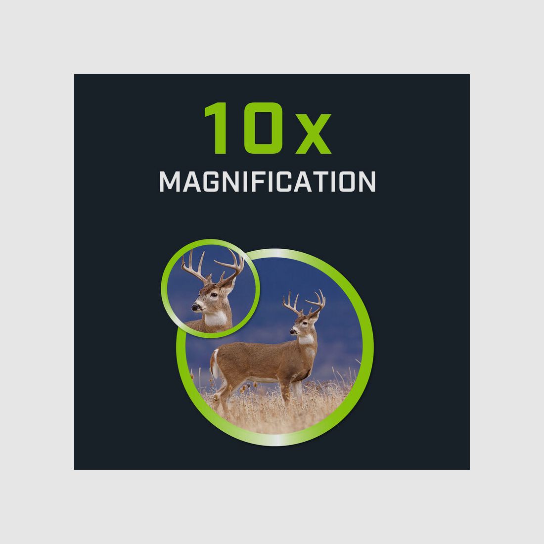 Bushnell POWERVIEW Fernglas 10x42 BONE COLLECTOR, Bild 8 von 9