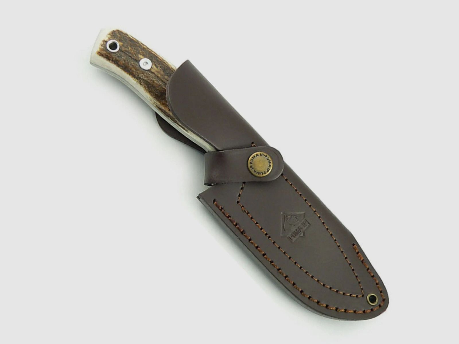 PUMA IP cervato, hert