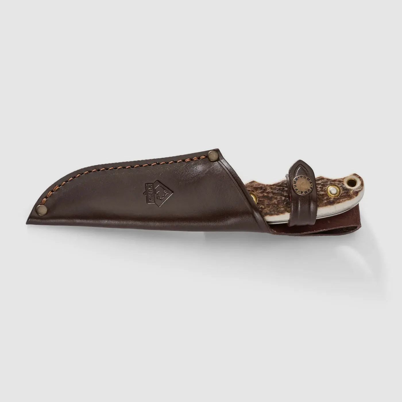 PUMA saubart, Hirschhorn