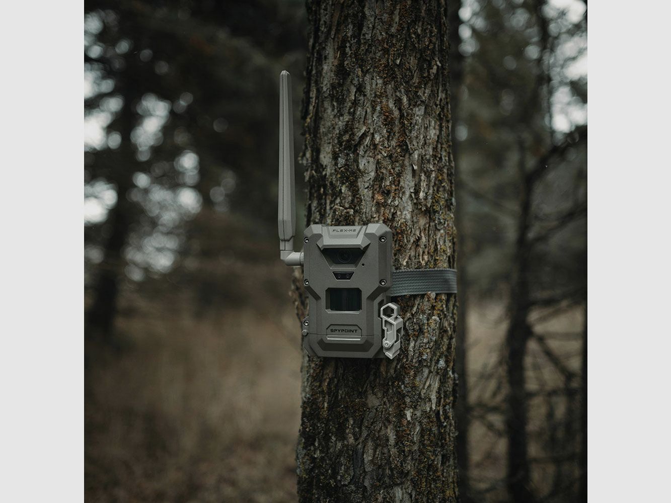 Spypoint FLEX-M2 Cámara de caza, imagen 2 de 5
