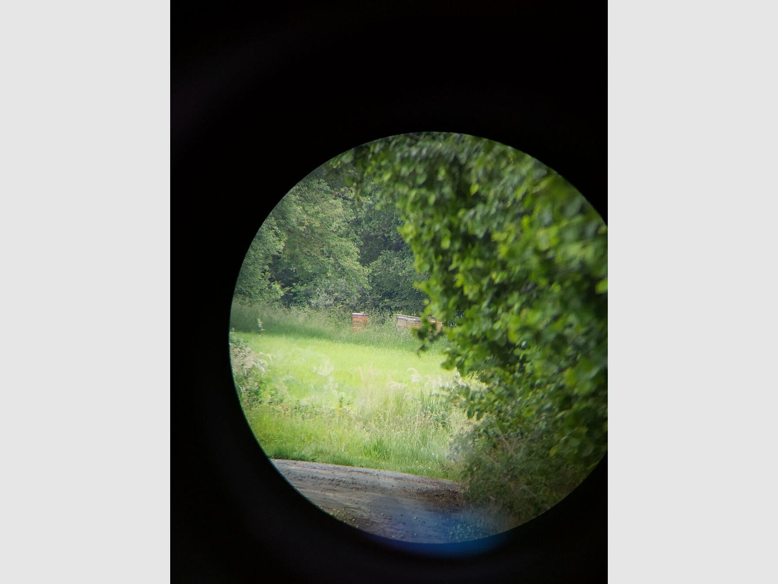 Miyauchi Mod. BJ100i