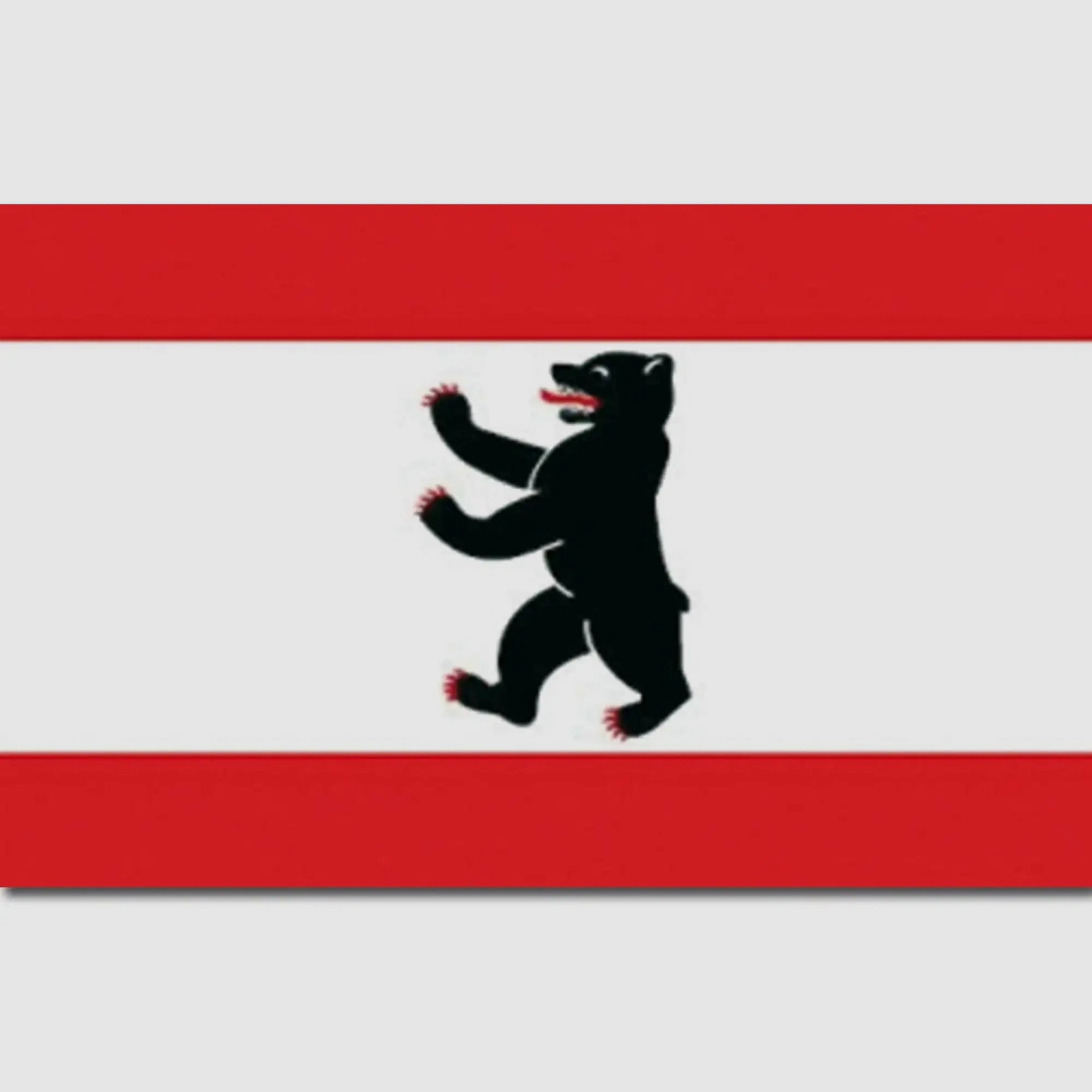 Bandiera Diversa Berlino