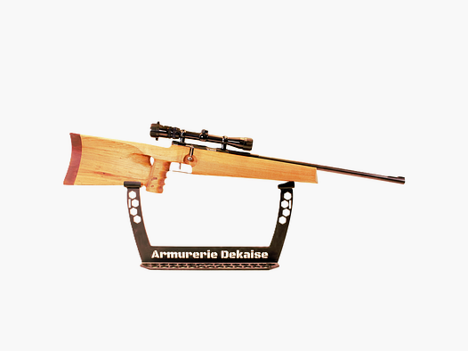 Toz 22lr enkelschots. Custom