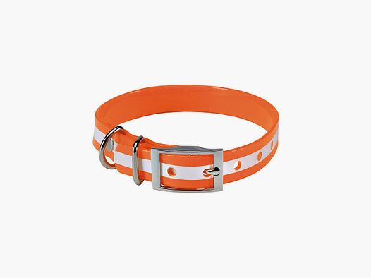 Phosphoreszierendes Hundehalsband 60 cm Stepland