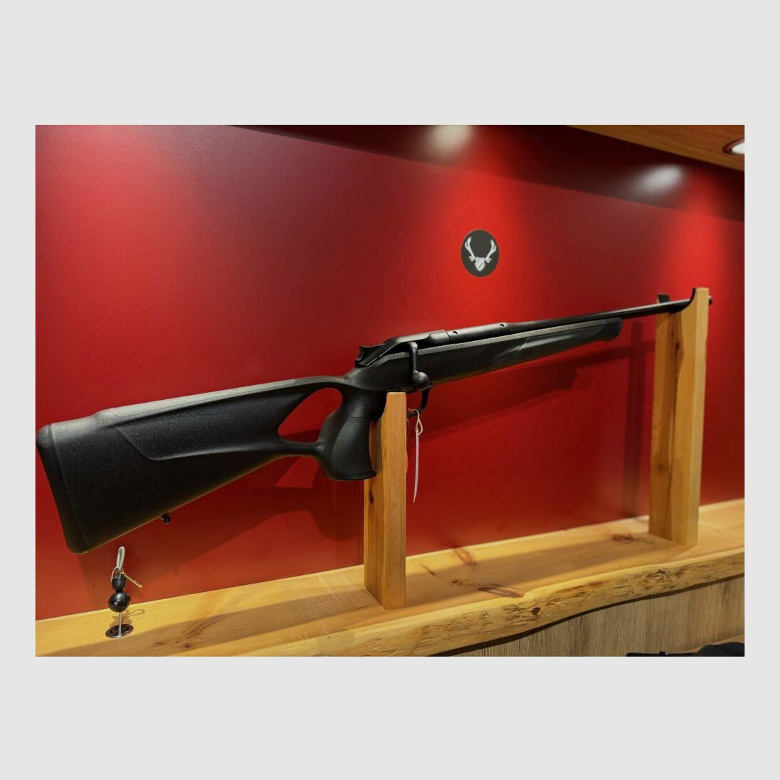 Blaser R8 Professional Success