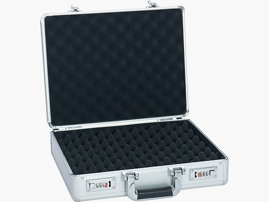 Handgun case aluminum
