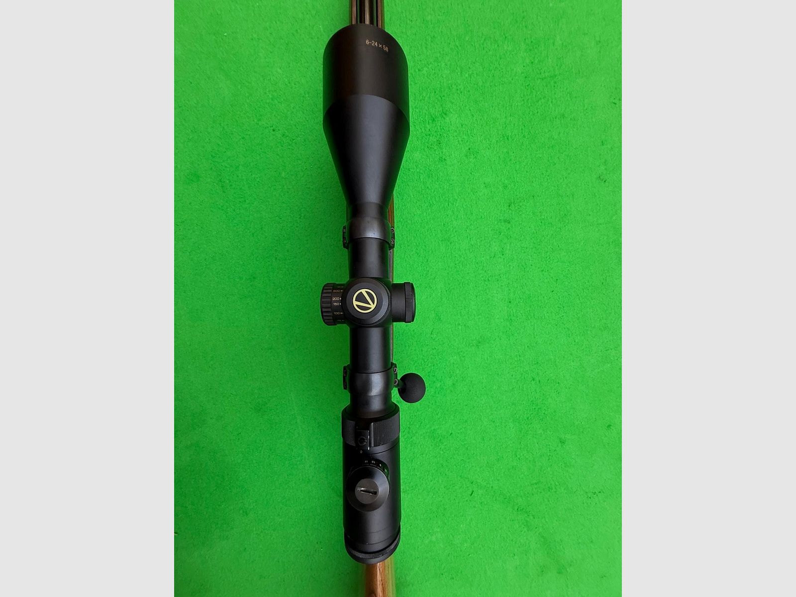 Sauer & Sohn 202 in .270Win & Vixen 6-24x58