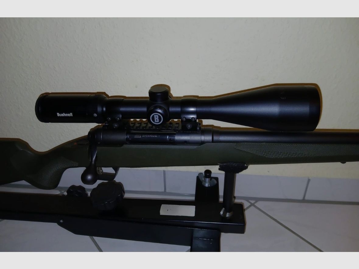 .308 Savage Hog Hunter