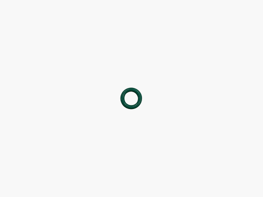 WALTHER – 2490021 O-RING 6X2