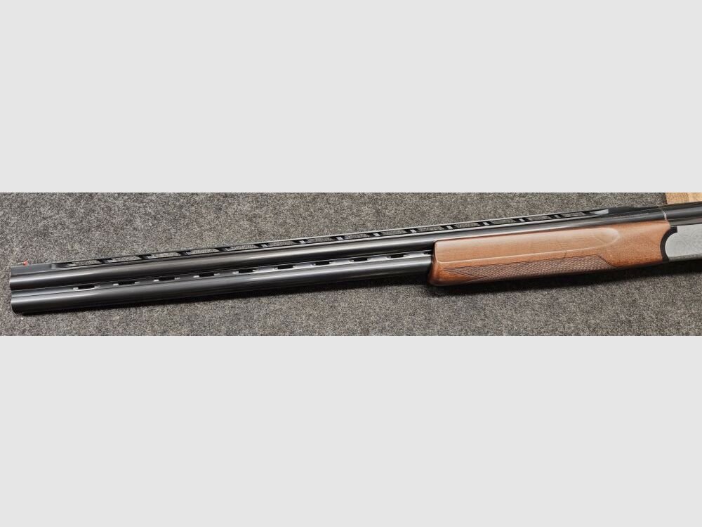 Sabatti / Mercury Olympo Trap
