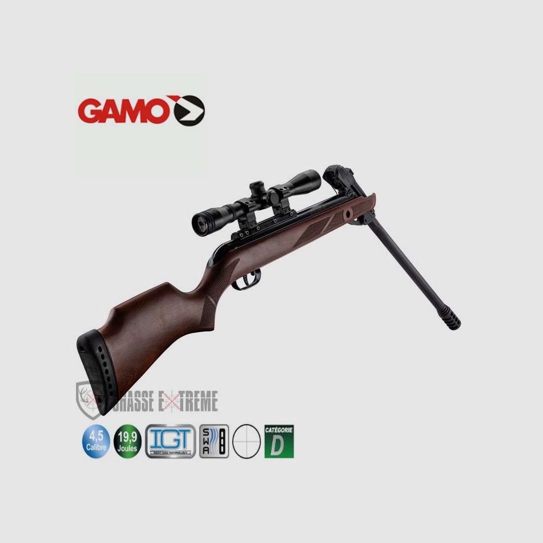 Carabine GAMO Fast Shot 10x Igt - 19,9 Joules + Lunette 4 X 32 Wr, image 1 sur 4