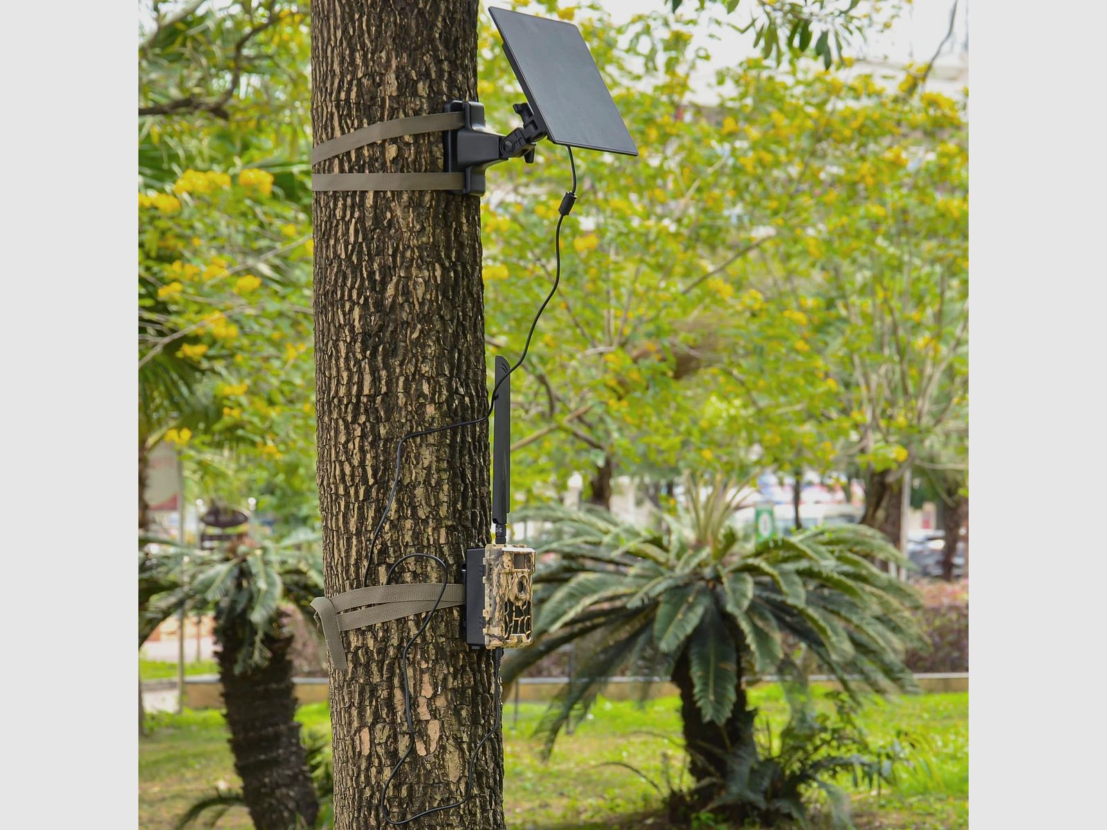 Solarpanel für Wildkameras 10.000 mAh – geeignet für 6V und 12V Kameras, Bild 7 von 9