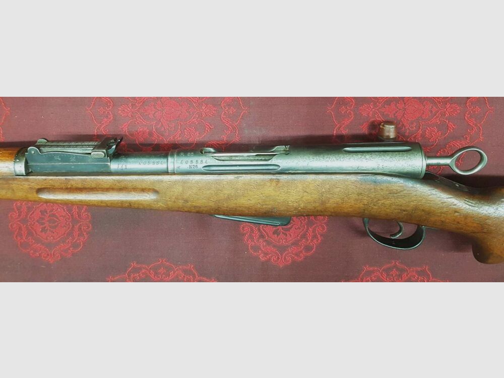 Schmidt Rubin G11