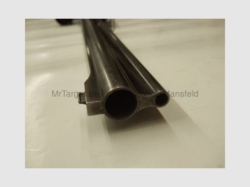 Sabattii con ZF SWAROVSKI 6x42 retículo 1