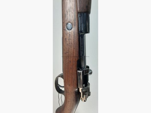 DWM M1909 Argentino