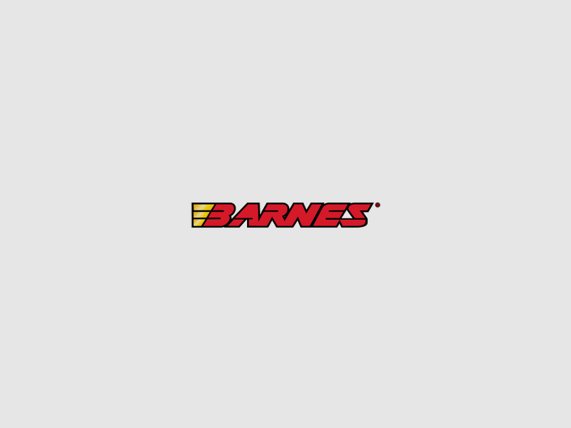 Barnes Vor-TX .223Rem 55grs TSX FB