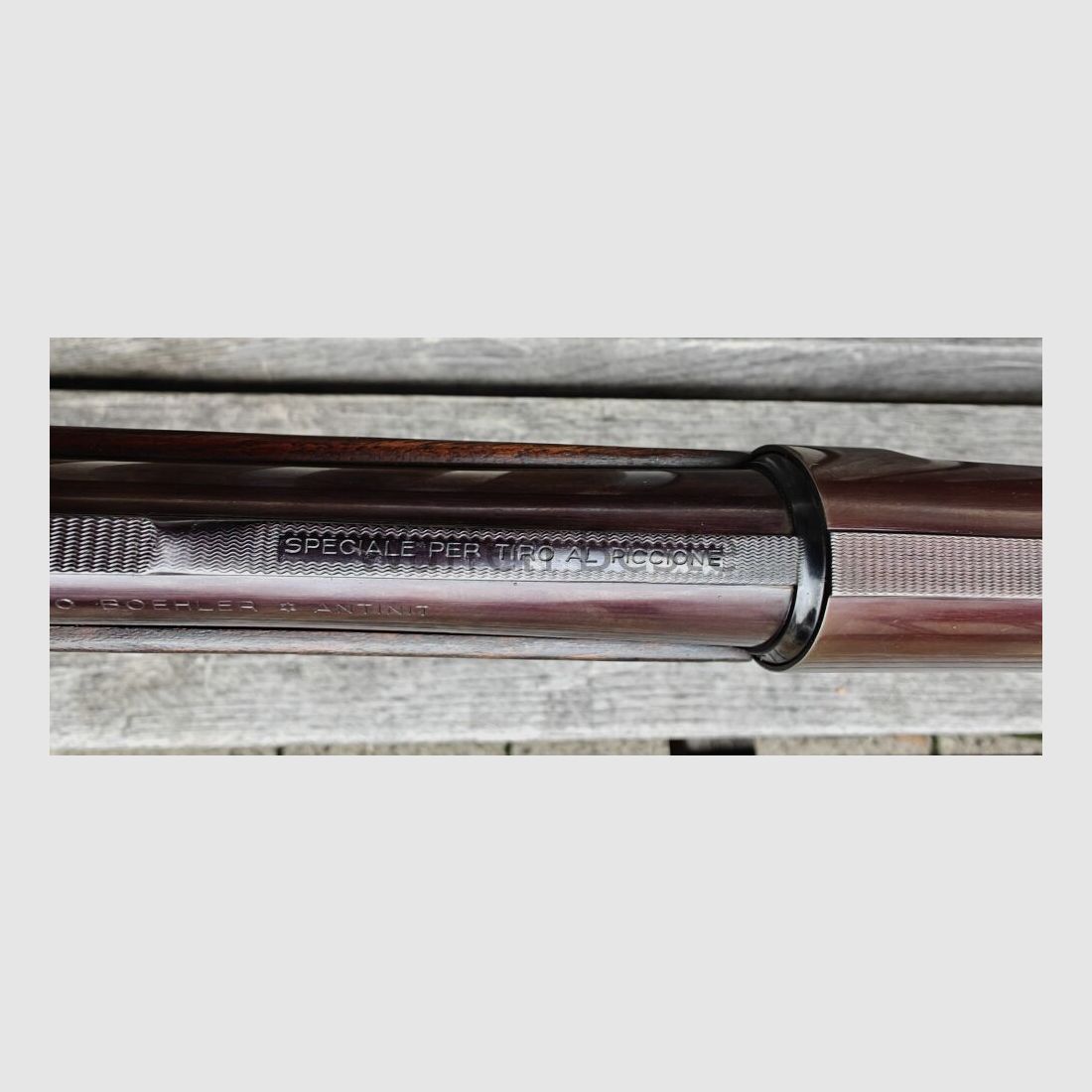 Cosmi Special for pigeon shooting