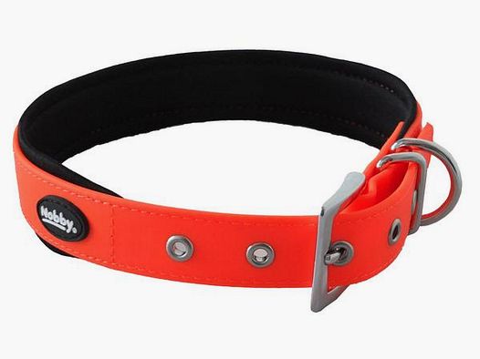 Housse de collier pour chien orange