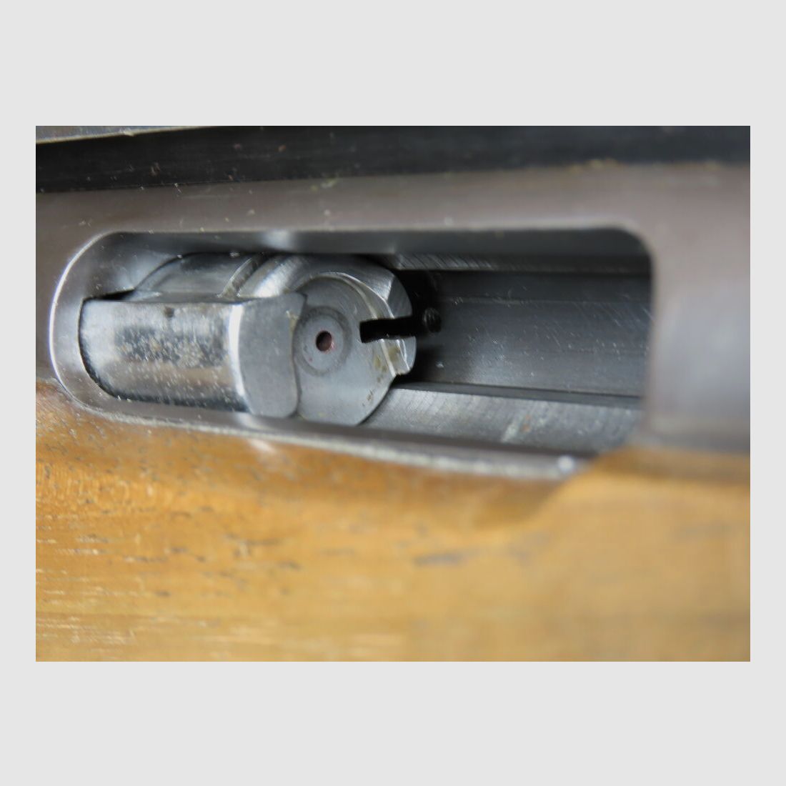 Musgrave Longe Range mit Palma Lauf!