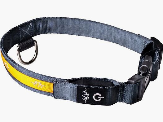 Blaser LED Hundehalsband